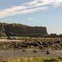 Bombo Headland Quarry