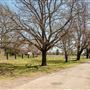 Tamworth