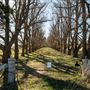 Armidale
