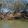 Gunnedah