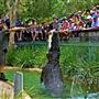 The Australian Reptile Park