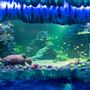 SEA LIFE Sydney Aquarium