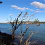 Former Aquatic Laboratories & Offices - Hungry Point Reserve