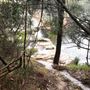 Wattamolla Beach