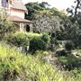 Greycliffe House and Gardens