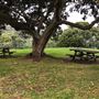 Strickland House - Sydney Harbour National Park