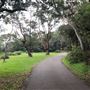 Nielsen Park