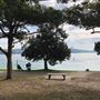 Nielsen Park