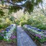 Camelia Gardens