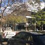 Double Bay