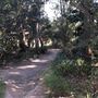 Trumper Park