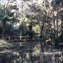 Trumper Park