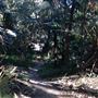 Trumper Park