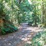 Glengariff Estate Rainforest