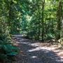 Glengariff Estate Rainforest
