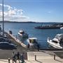 Kiama