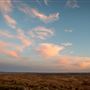Broken Hill Living Desert