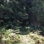 Otford Farm - Paintball Property