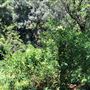 Otford Farm - Paintball Property