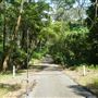 Otford Farm - Jungle Set Build Site