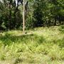 Otford Farm - Jungle Set Build Site