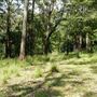 Otford Farm - Jungle Set Build Site