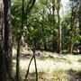 Otford Farm - Jungle Set Build Site