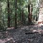 Otford Farm - Jungle Set Build Site