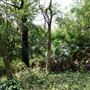 Otford Farm - Jungle Set Build Site