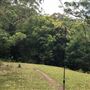 Otford Farm - The Pines Paddock with Jungle Gully