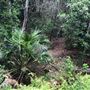 Otford Farm - The Pines Paddock with Jungle Gully