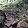 Otford Farm - The Pines Paddock with Jungle Gully