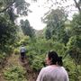Otford Farm - The Pines Paddock with Jungle Gully