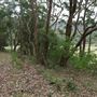 Otford Farm - 40 Acres Paddock