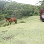 Otford Farm - 40 Acres Paddock
