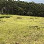 Otford Farm - 40 Acres Paddock