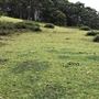 Otford Farm - 40 Acres Paddock