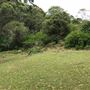 Otford Farm - 40 Acres Paddock