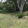 Otford Farm - 40 Acres Paddock