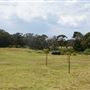 Otford Farm - Crazy T Farm