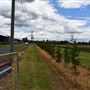 Greater Sydney Local Land Services Demonstration Farm