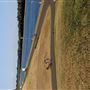 Sydney International Regatta Centre