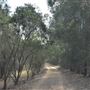 Roads & Parking Lots - Sydney International Regatta Centre