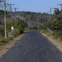 Sir Joseph Banks Drive
