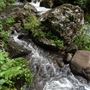 Hidden Creek