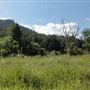 Hidden Creek