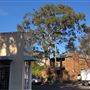Jersey Road - Woollahra