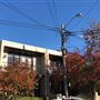 Jersey Road - Woollahra
