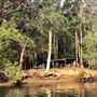 Brunswick River