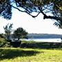 Swan Lake - Swanhaven